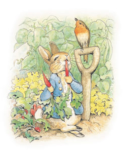 SPRING FORWARD: PETER RABBIT & CARNIVAL OF THE ANIMALS!