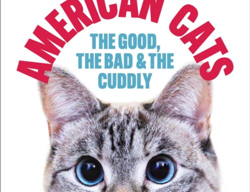 FREE VIRTUAL SCREENING: AMERICAN CATS: THE GOOD, THE BAD, & THE CUDDLY