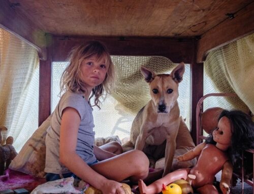 FREE ADVANCE SCREENING: DON’T LET’S GO TO THE DOGS TONIGHT